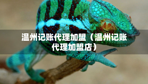 溫州記賬代理加盟（溫州記賬代理加盟店）