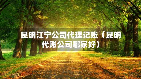 昆明江寧公司代理記賬（昆明代賬公司哪家好）