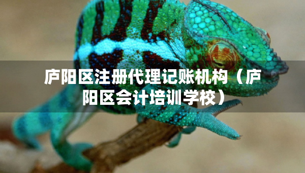 廬陽區(qū)注冊代理記賬機構(gòu)（廬陽區(qū)會計培訓(xùn)學(xué)校）