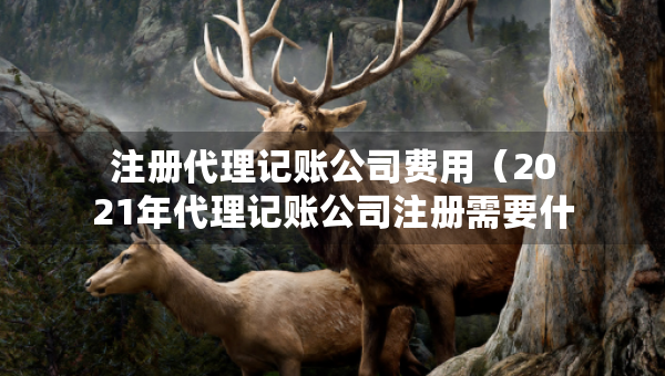 注冊代理記賬公司費用（2021年代理記賬公司注冊需要什么條件）