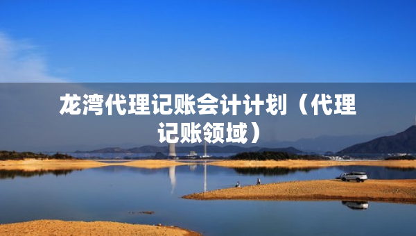 龍灣代理記賬會(huì)計(jì)計(jì)劃（代理記賬領(lǐng)域）