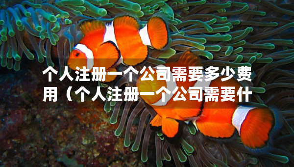 個(gè)人注冊(cè)一個(gè)公司需要多少費(fèi)用（個(gè)人注冊(cè)一個(gè)公司需要什么條件）