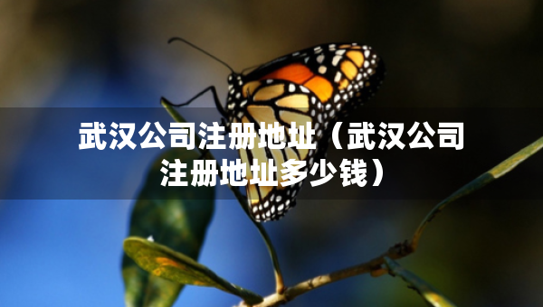 武漢公司注冊(cè)地址（武漢公司注冊(cè)地址多少錢）