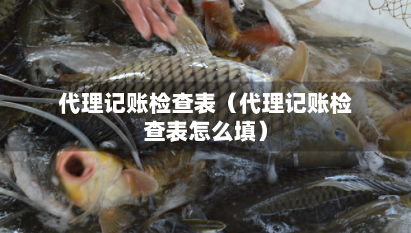 代理記賬檢查表（代理記賬檢查表怎么填）