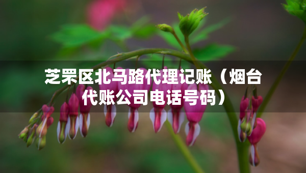 芝罘區(qū)北馬路代理記賬（煙臺代賬公司電話號碼）