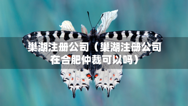 巢湖注冊(cè)公司（巢湖注冊(cè)公司在合肥仲裁可以嗎）