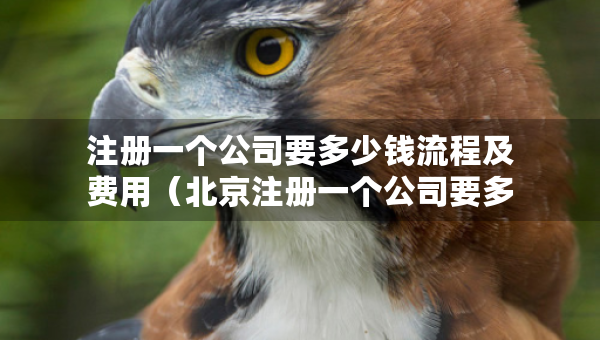 注冊一個公司要多少錢流程及費用（北京注冊一個公司要多少錢流程及費用）