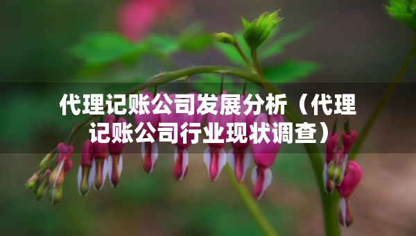 代理記賬公司發(fā)展分析（代理記賬公司行業(yè)現(xiàn)狀調(diào)查）