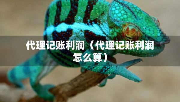 代理記賬利潤（代理記賬利潤怎么算）