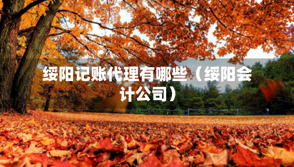 綏陽記賬代理有哪些（綏陽會(huì)計(jì)公司）