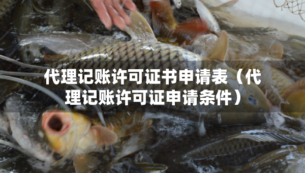 代理記賬許可證書申請表（代理記賬許可證申請條件）