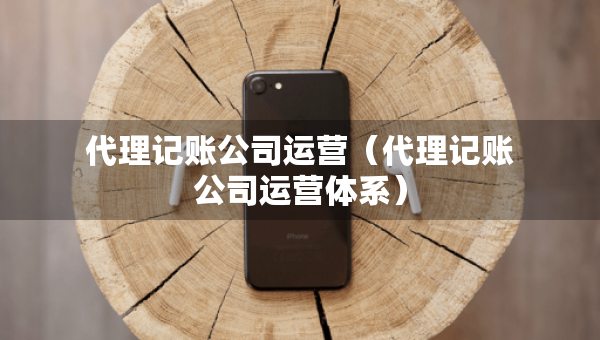代理記賬公司運(yùn)營（代理記賬公司運(yùn)營體系）