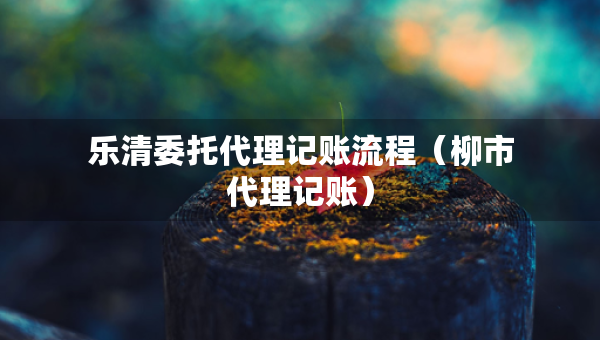 樂清委托代理記賬流程（柳市代理記賬）