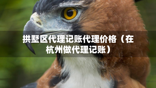 拱墅區(qū)代理記賬代理價(jià)格（在杭州做代理記賬）