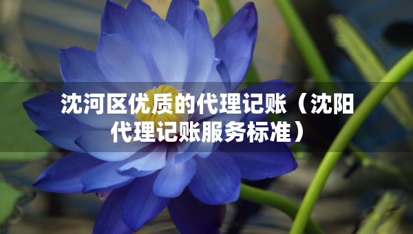 沈河區(qū)優(yōu)質(zhì)的代理記賬（沈陽代理記賬服務(wù)標(biāo)準(zhǔn)）