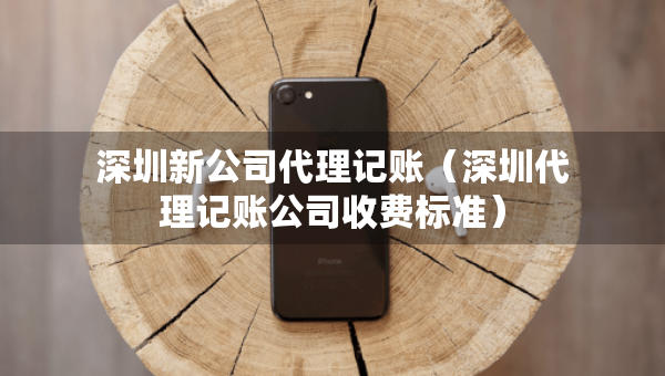 深圳新公司代理記賬（深圳代理記賬公司收費標準）
