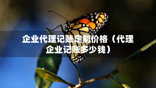 企業(yè)代理記賬定制價格（代理企業(yè)記賬多少錢）