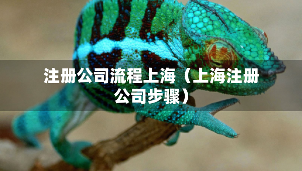 注冊公司流程上海（上海注冊公司步驟）