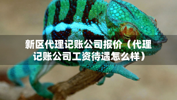 新區(qū)代理記賬公司報(bào)價(jià)（代理記賬公司工資待遇怎么樣）