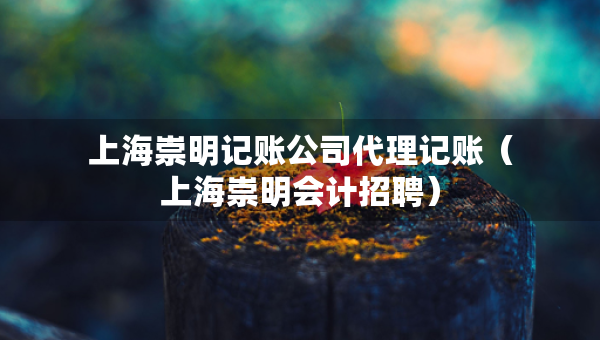 上海崇明記賬公司代理記賬（上海崇明會(huì)計(jì)招聘）