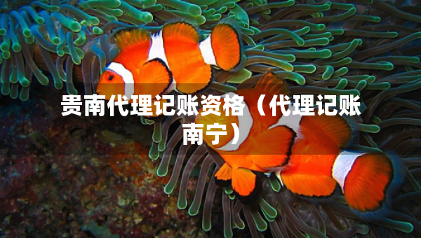 貴南代理記賬資格（代理記賬南寧）