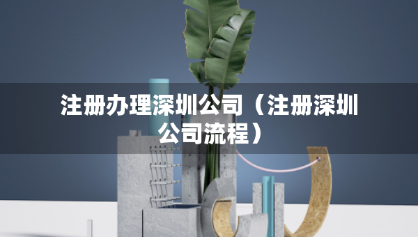 注冊辦理深圳公司（注冊深圳公司流程）