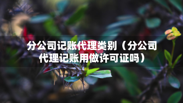 分公司記賬代理類別（分公司代理記賬用做許可證嗎）