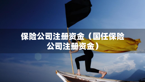 保險公司注冊資金（國任保險公司注冊資金）