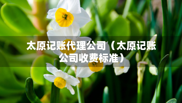 太原記賬代理公司（太原記賬公司收費標準）