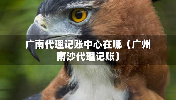 廣南代理記賬中心在哪（廣州南沙代理記賬）