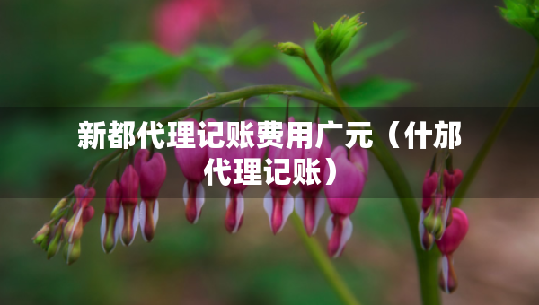 新都代理記賬費用廣元（什邡代理記賬）