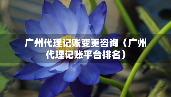 廣州代理記賬變更咨詢（廣州代理記賬平臺(tái)排名）