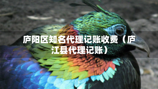 廬陽(yáng)區(qū)知名代理記賬收費(fèi)（廬江縣代理記賬）