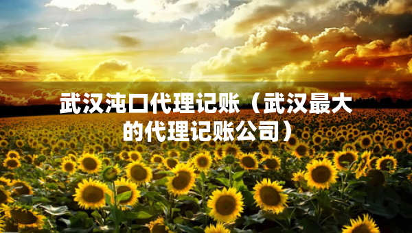 武漢沌口代理記賬（武漢最大的代理記賬公司）