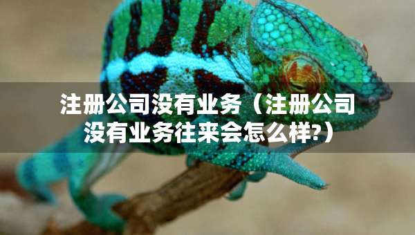 注冊公司沒有業(yè)務(wù)（注冊公司沒有業(yè)務(wù)往來會怎么樣?）