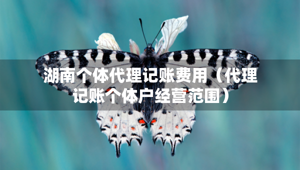 湖南個體代理記賬費用（代理記賬個體戶經(jīng)營范圍）
