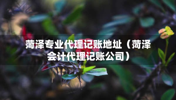 菏澤專業(yè)代理記賬地址（菏澤會(huì)計(jì)代理記賬公司）