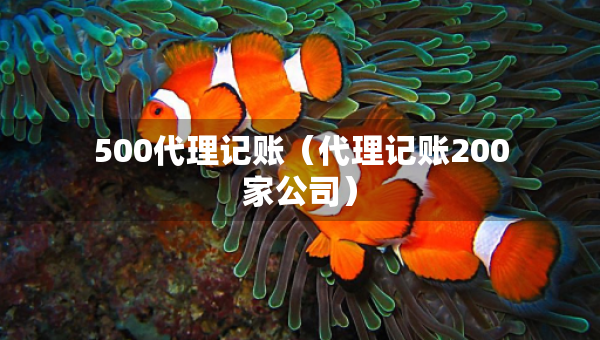 500代理記賬（代理記賬200家公司）
