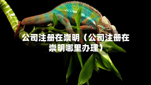 公司注冊在崇明（公司注冊在崇明哪里辦理）