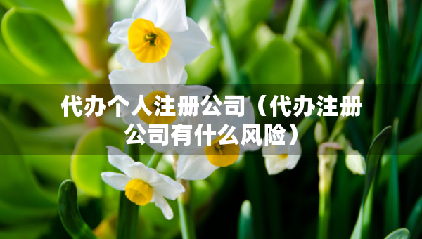 代辦個人注冊公司（代辦注冊公司有什么風險）