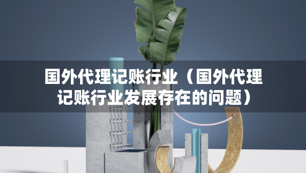 國(guó)外代理記賬行業(yè)（國(guó)外代理記賬行業(yè)發(fā)展存在的問(wèn)題）