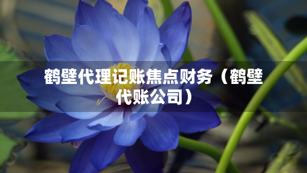 鶴壁代理記賬焦點(diǎn)財(cái)務(wù)（鶴壁代賬公司）