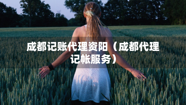 成都記賬代理資陽（成都代理記帳服務(wù)）