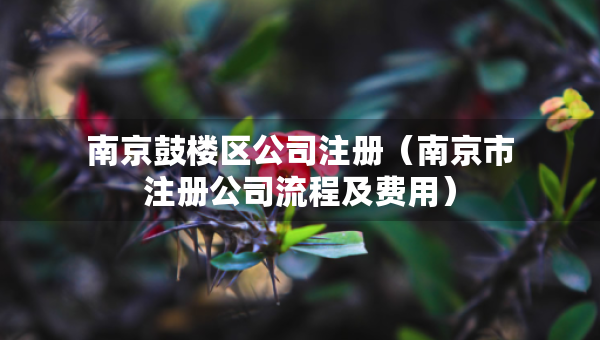 南京鼓樓區(qū)公司注冊（南京市注冊公司流程及費用）