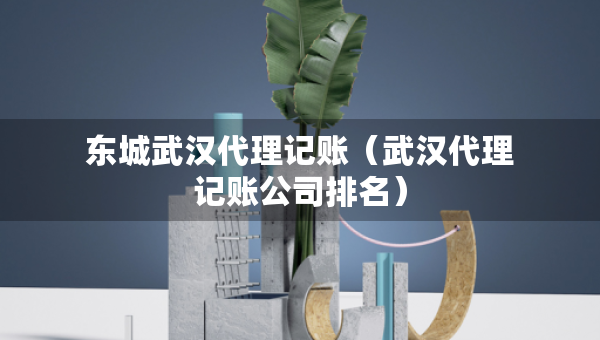 東城武漢代理記賬（武漢代理記賬公司排名）