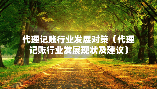 代理記賬行業(yè)發(fā)展對(duì)策（代理記賬行業(yè)發(fā)展現(xiàn)狀及建議）