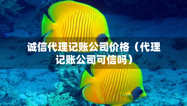 誠信代理記賬公司價(jià)格（代理記賬公司可信嗎）