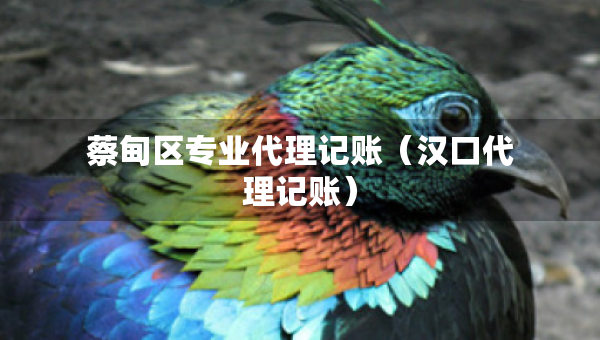 蔡甸區(qū)專業(yè)代理記賬（漢口代理記賬）