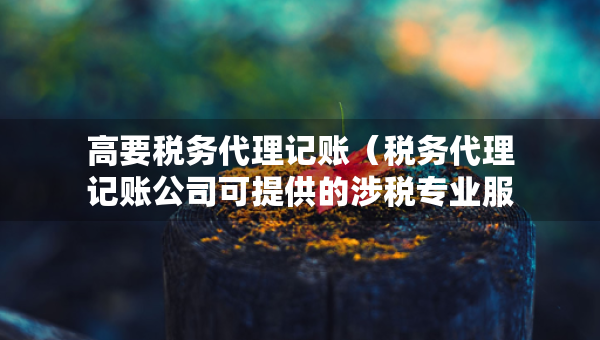 高要稅務(wù)代理記賬（稅務(wù)代理記賬公司可提供的涉稅專業(yè)服務(wù)）