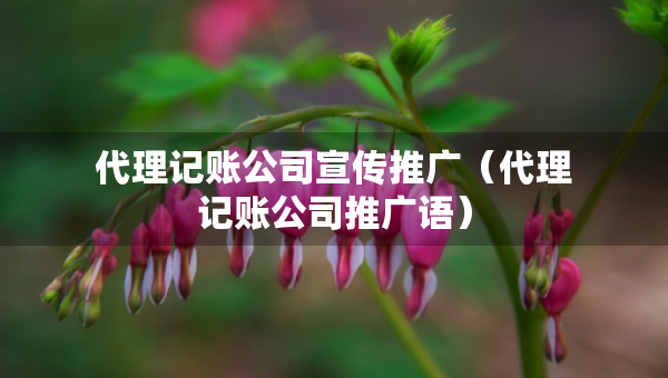 代理記賬公司宣傳推廣（代理記賬公司推廣語）